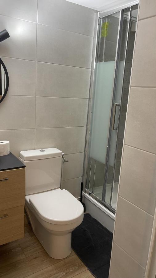 Arquebuse Proche Gare Apartment Dijon Bagian luar foto
